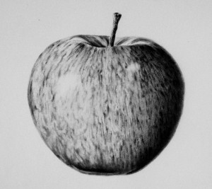 b & w apple